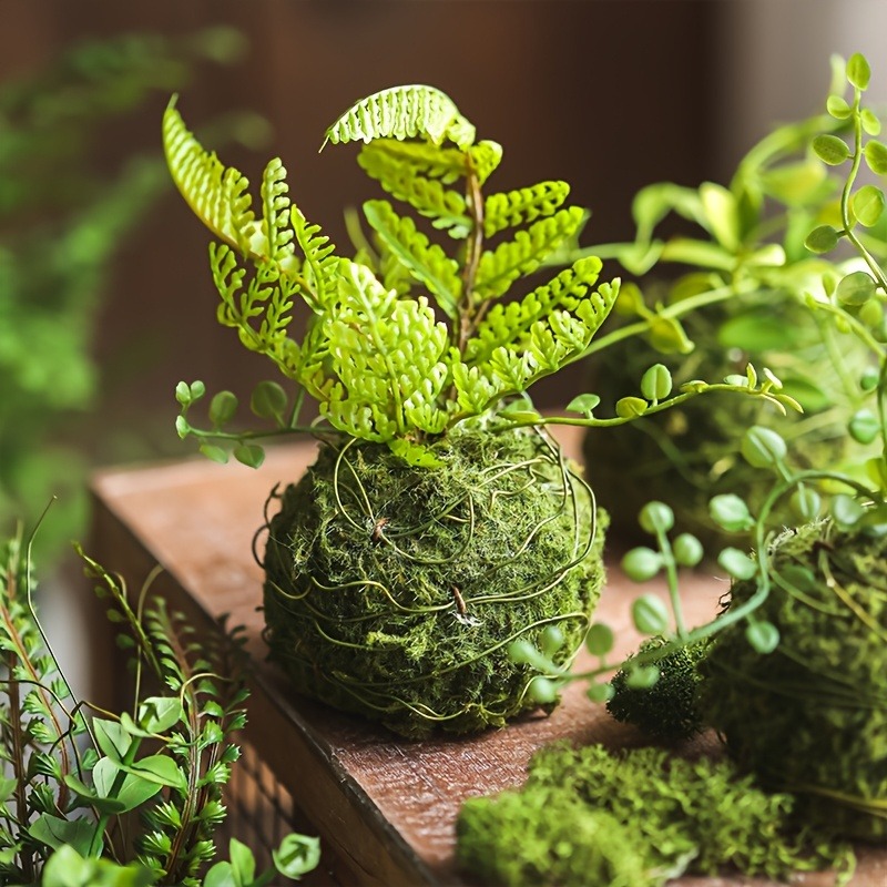 Sphagnum Moss Dry - Yapay Yosun Topu Saksısı, Doğal Yeşil
