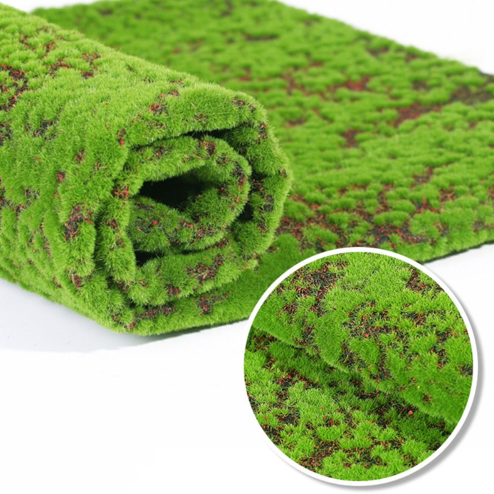 Sphagnum Moss Dry - DIY Sahte Yosun Çim Halısı Dayanıklı