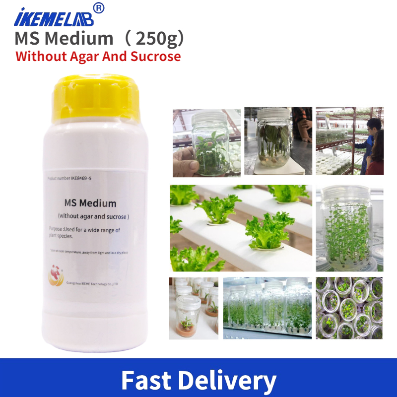 Agar Tissue Culture - IKEME Lab MS Medium 250g Agar