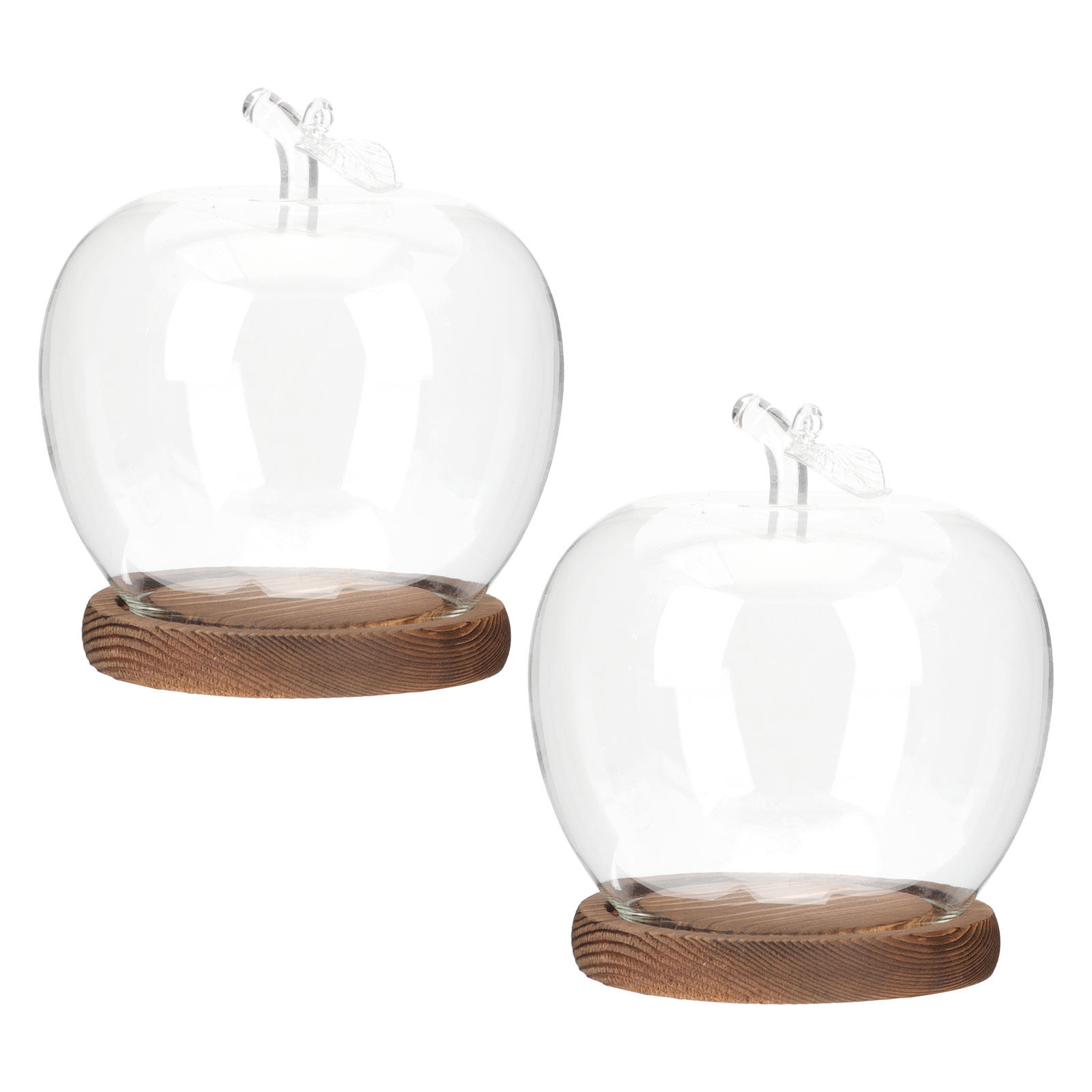Plastic Dome Clear - 2 Adet Şeffaf Cam Kubbe, Ahşap