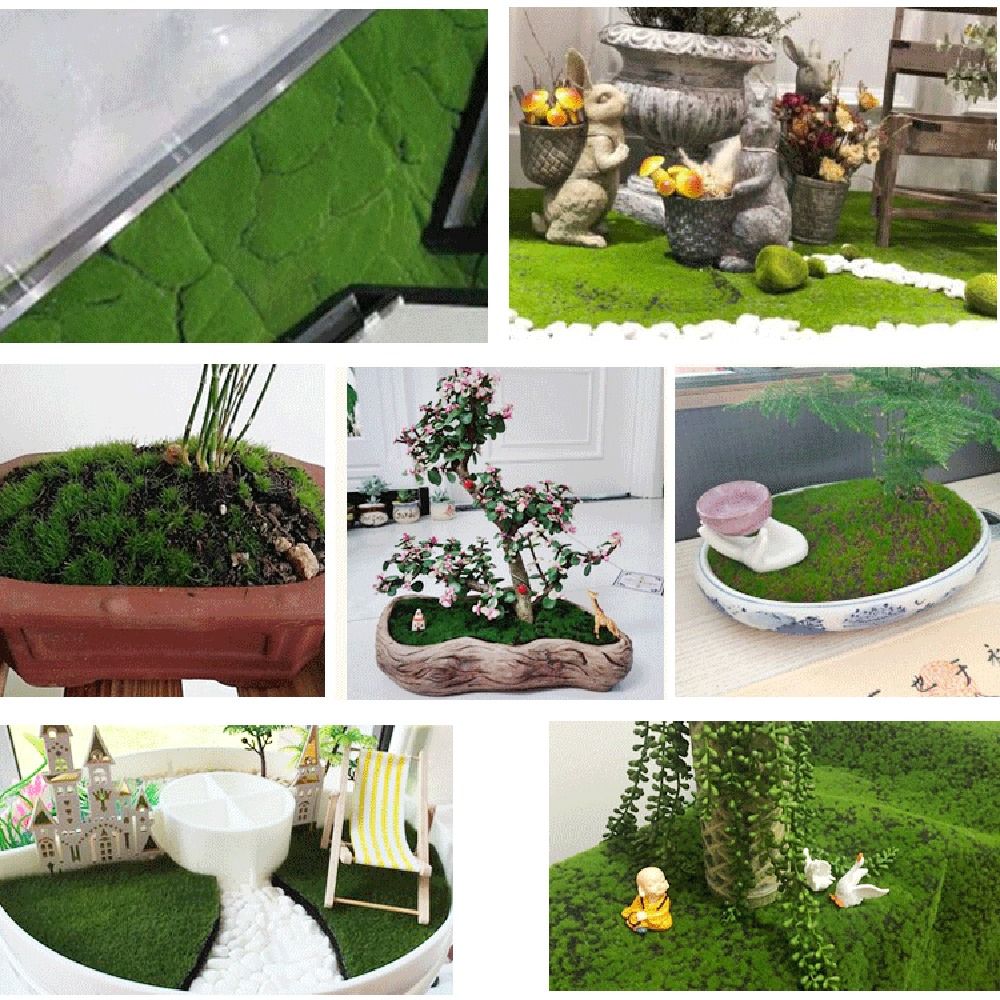 DIY Sahte Yosun Çim Halısı Day - Sphagnum Moss Dry incelemesi ve fiyatı