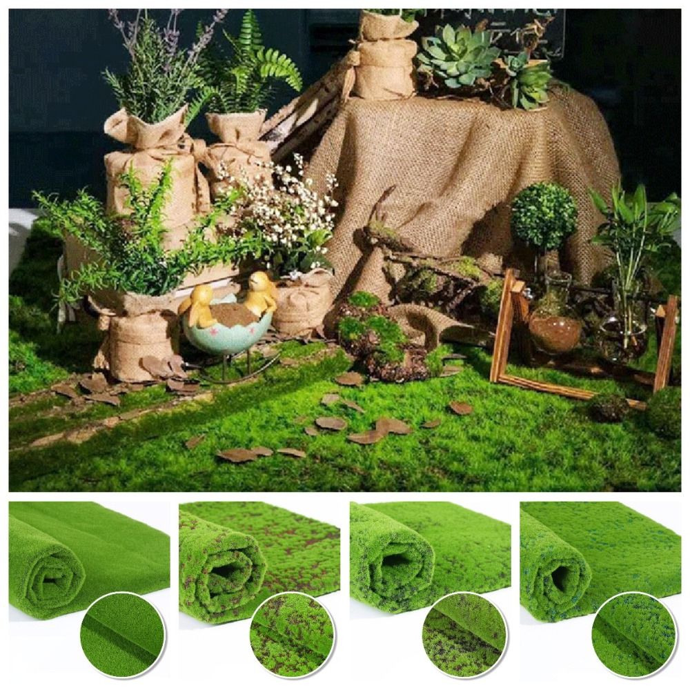 DIY Sahte Yosun Çim Halısı Day - Sphagnum Moss Dry incelemesi ve fiyatı