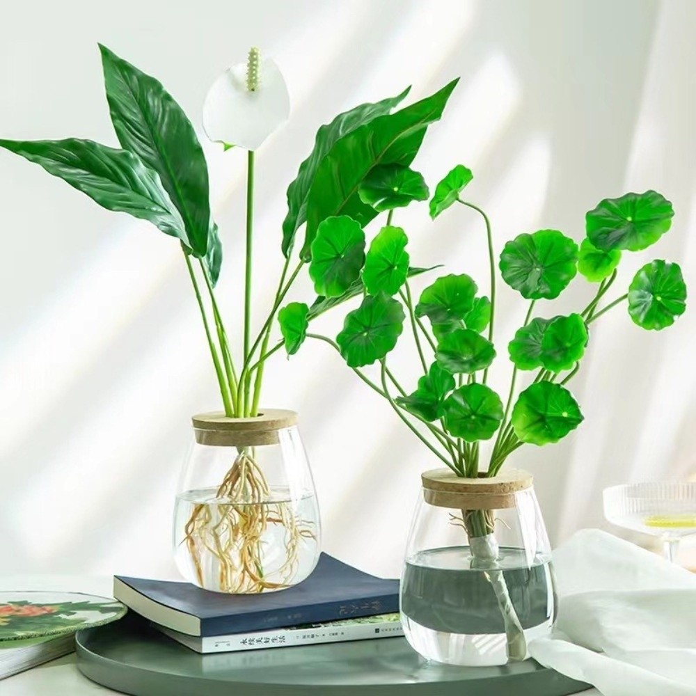 Şeffaf Hidroponik Saksı, Ahşap - Propagation Station Vase incelemesi ve fiyatı