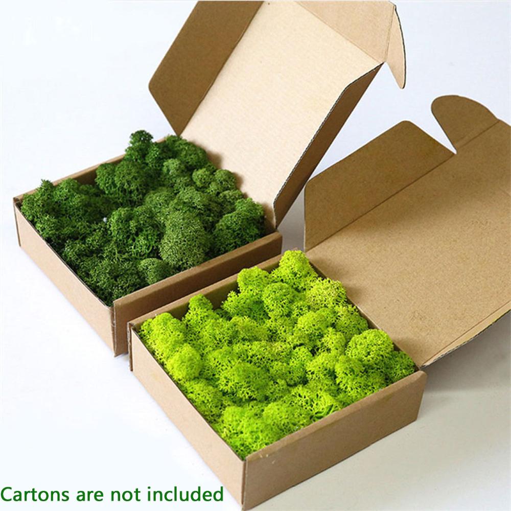 Yapay bitki ebedi hayat Moss b - Sphagnum Moss Dry incelemesi ve fiyatı