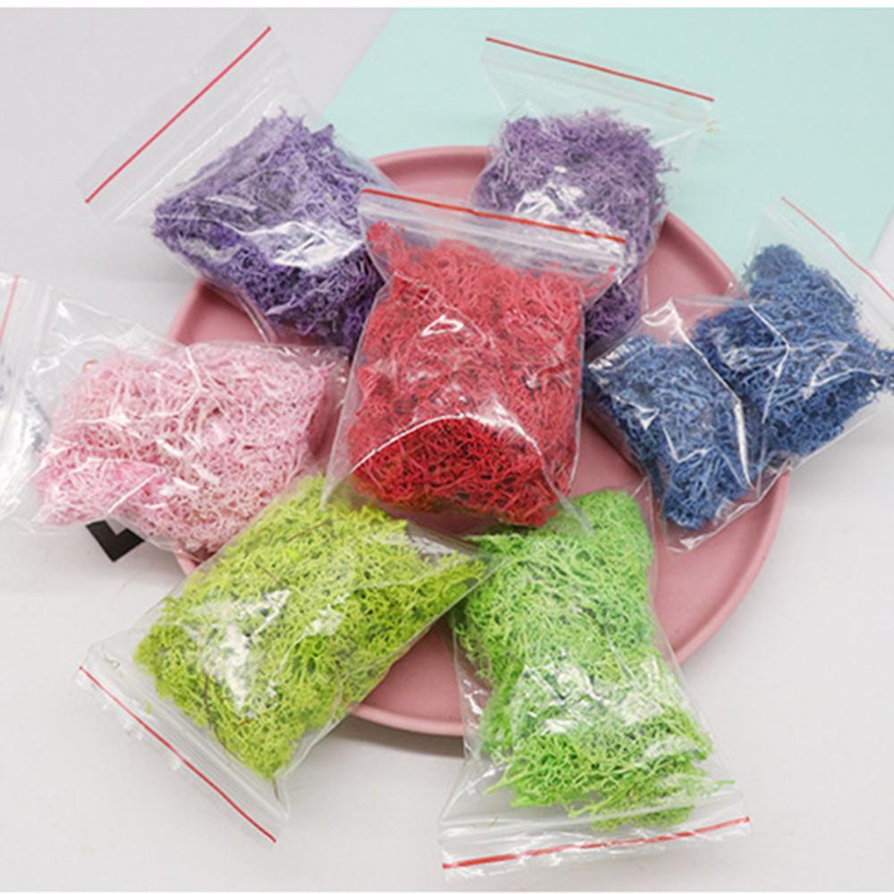Yapay bitki ebedi hayat Moss b - Sphagnum Moss Dry incelemesi ve fiyatı