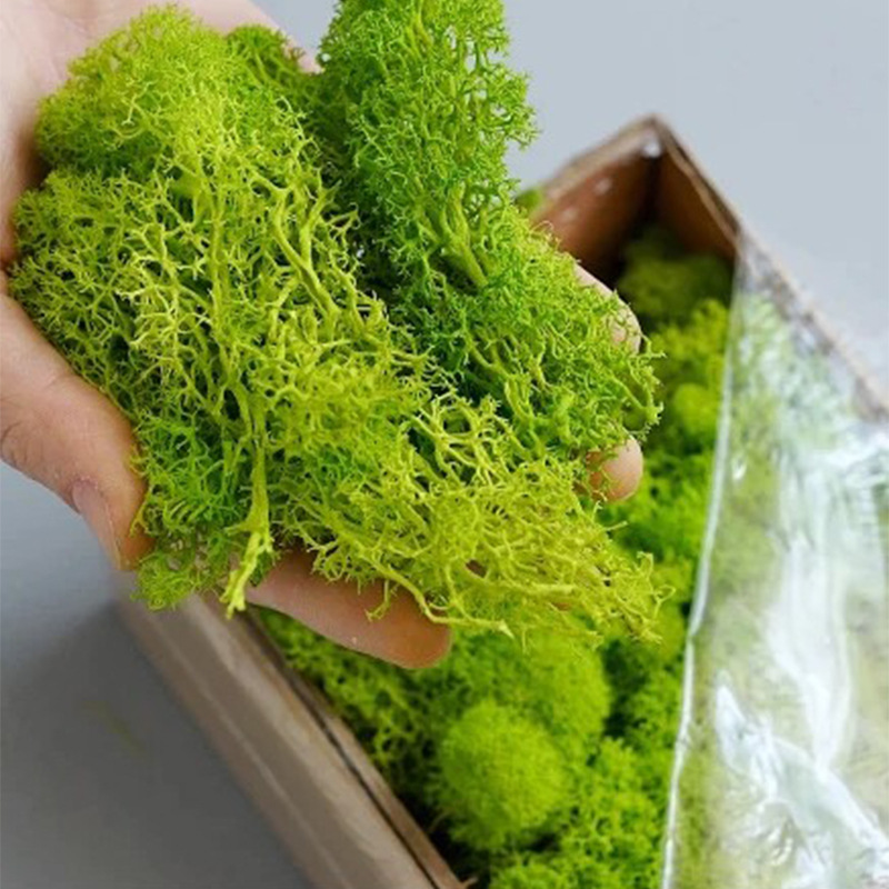 Yapay Yeşil Bitkiler Sonsuz Ya - Sphagnum Moss Dry incelemesi ve fiyatı
