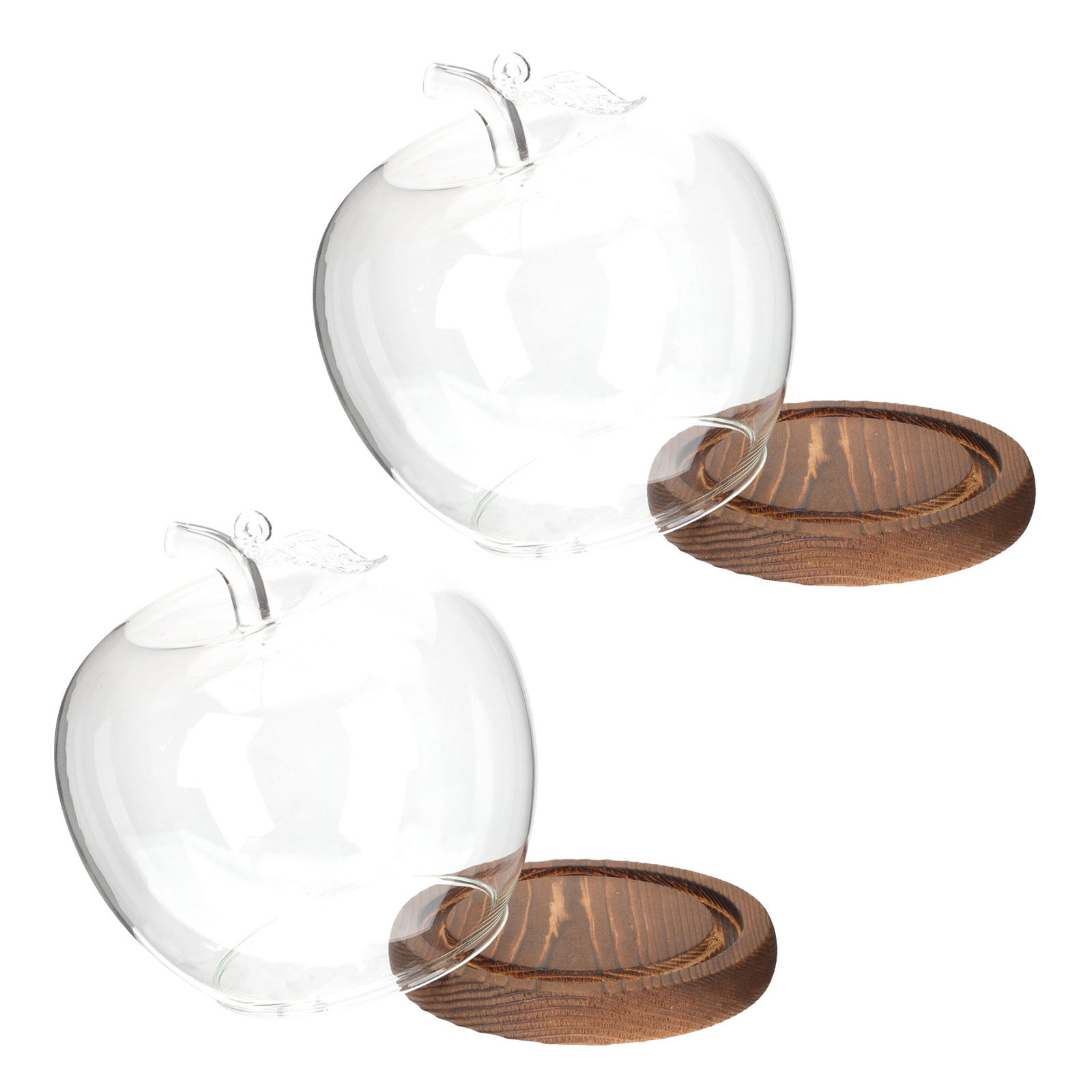 2 Adet Şeffaf Cam Kubbe, Ahşap - Plastic Dome Clear incelemesi ve fiyatı