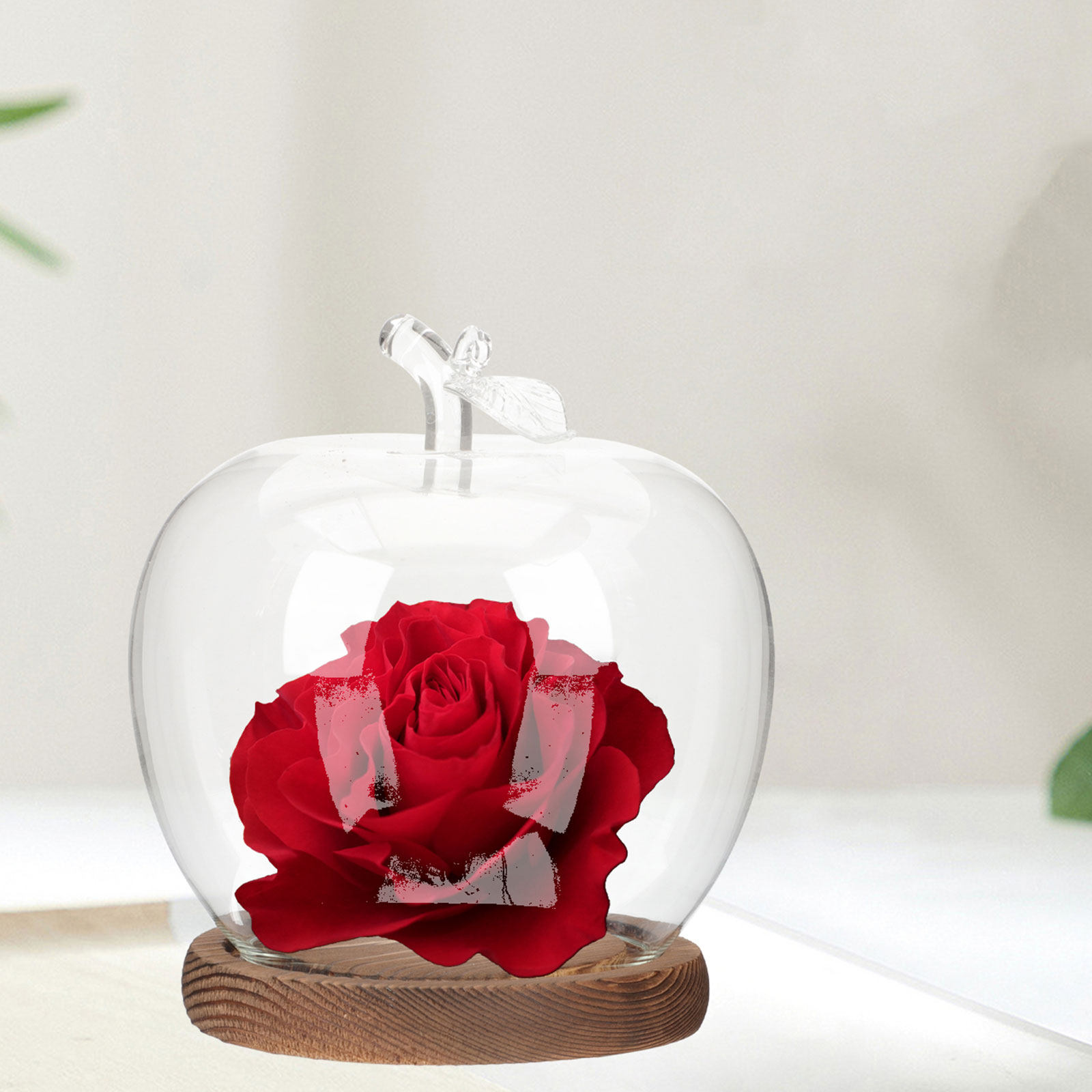 2 Adet Şeffaf Cam Kubbe, Ahşap - Plastic Dome Clear incelemesi ve fiyatı