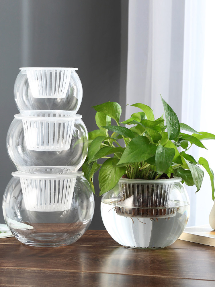 Hidroponik Cam Vazo, Cam Yeşil - Propagation Station Vase incelemesi ve fiyatı